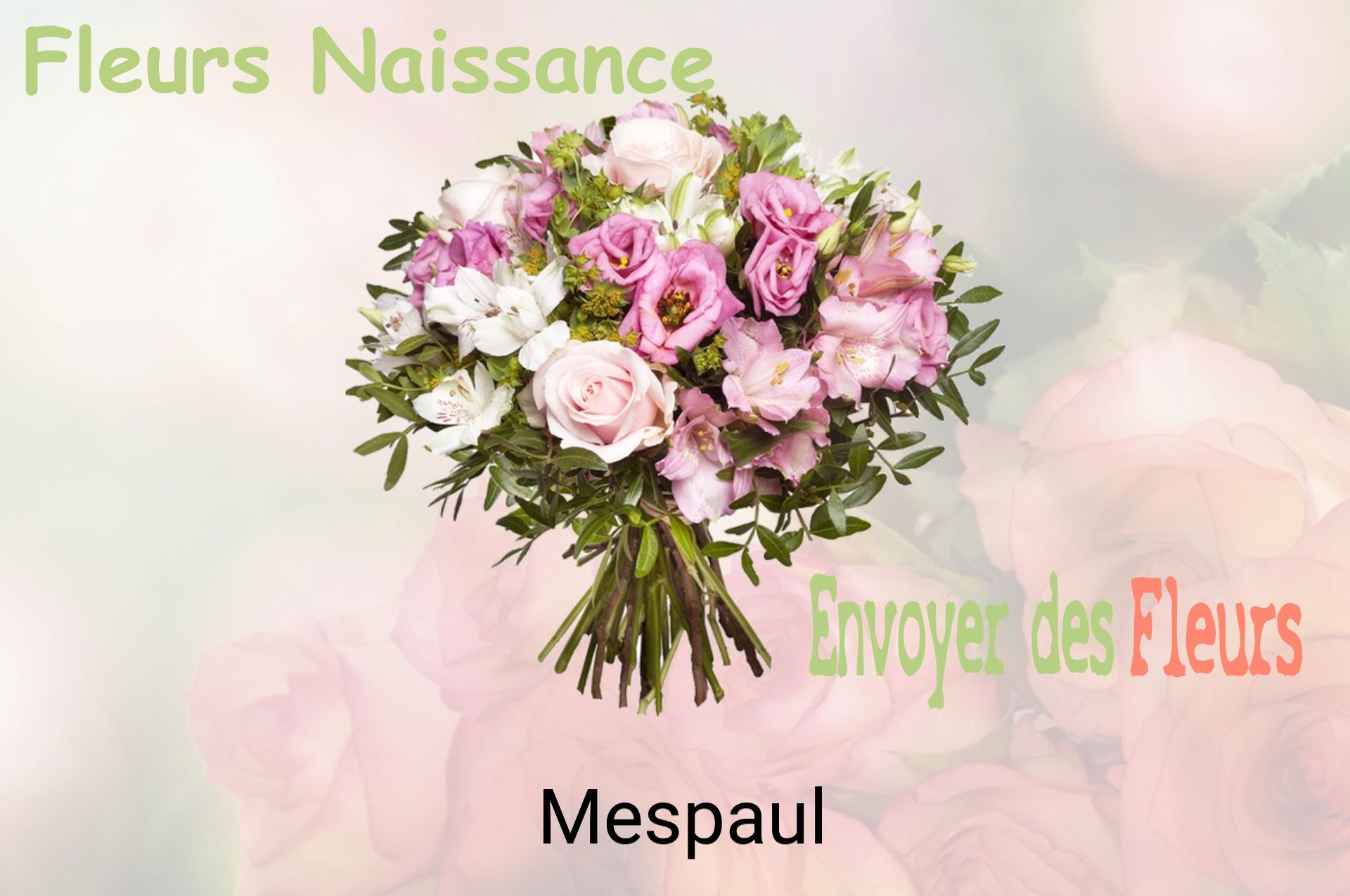 Bouquet de fleurs de naissance livré à Mespaul