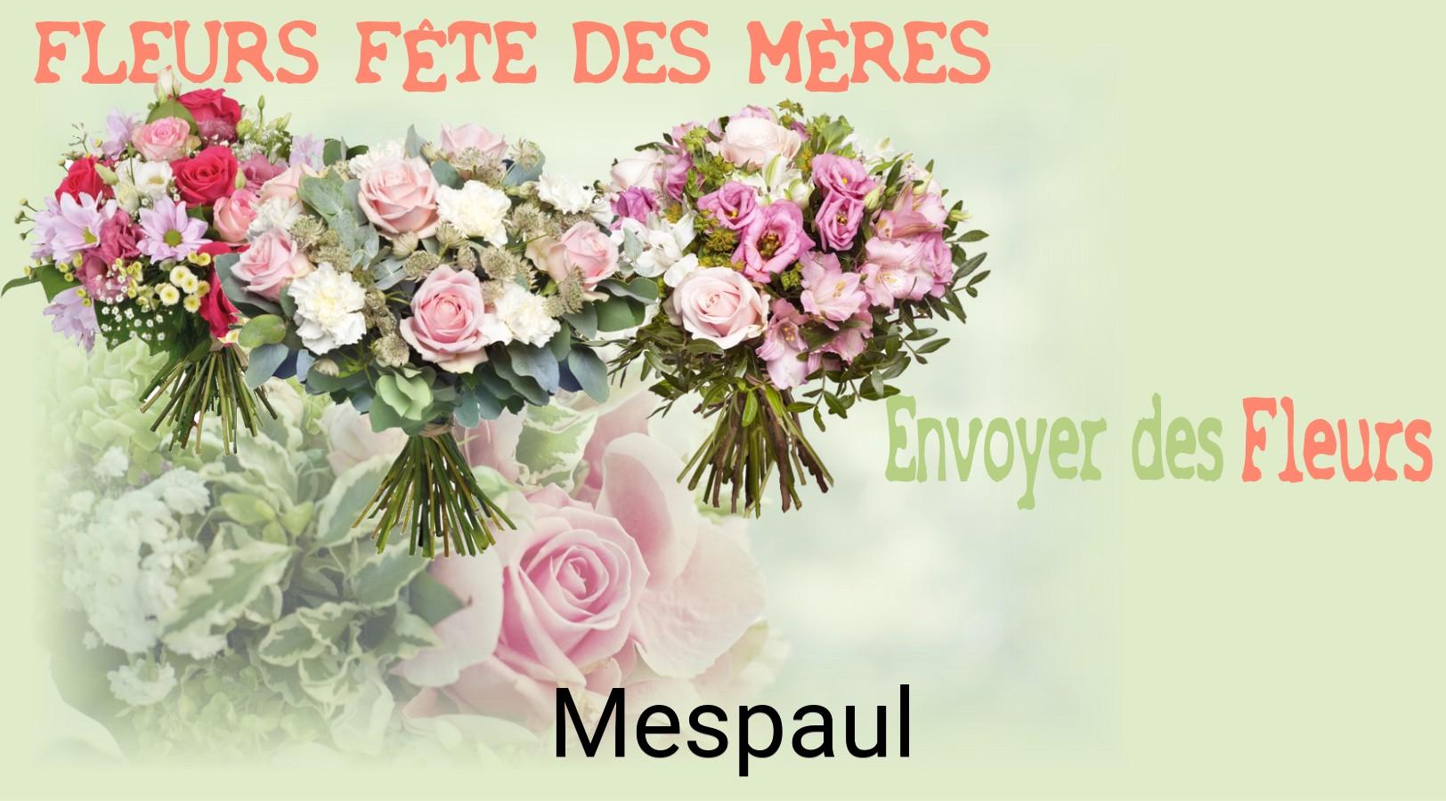 Bouquet de Fête des Mères livré à Mespaul